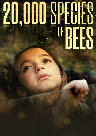 20.000 especies de abejas poster