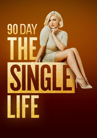 90 Day: The Single Life poster