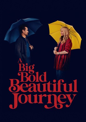 A Big Bold Beautiful Journey poster