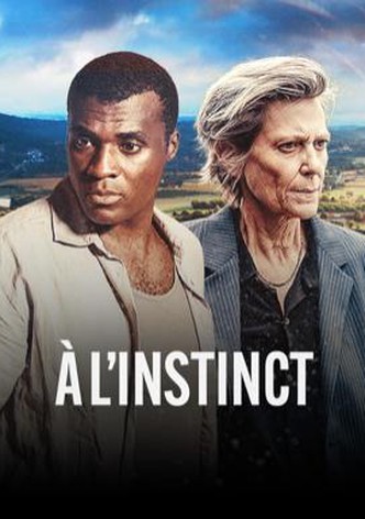 À l'instinct poster