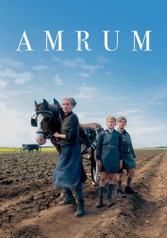 Amrum poster