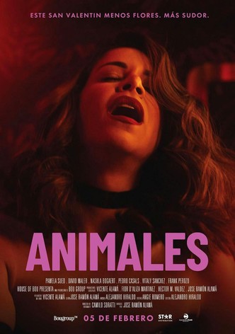 Animals poster