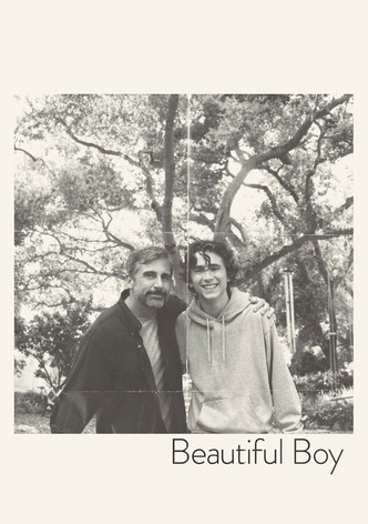 Beautiful Boy poster