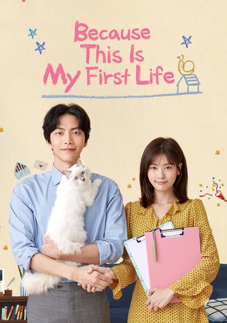 Because This Is My First Life poster