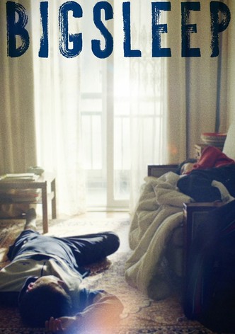 Big Sleep poster
