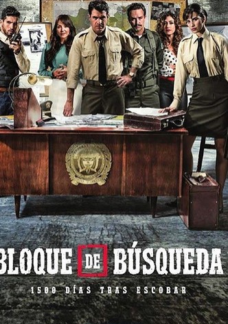 Bloque de Búsqueda poster
