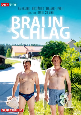 Braunschlag poster