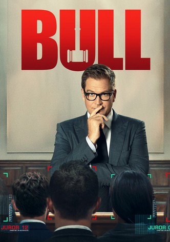 Bull poster