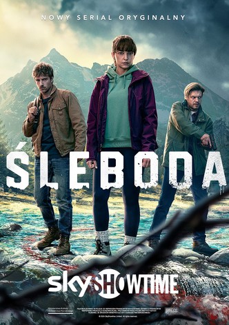 Deadly Ties poster