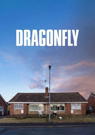 Dragonfly poster