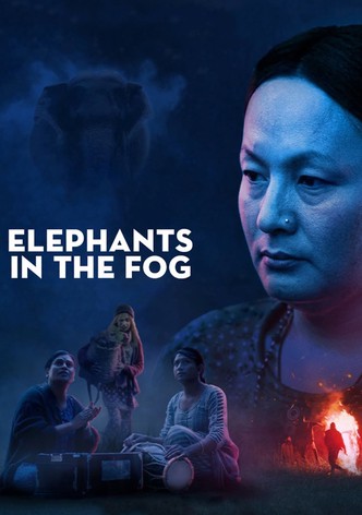 Elephants in the Fog poster