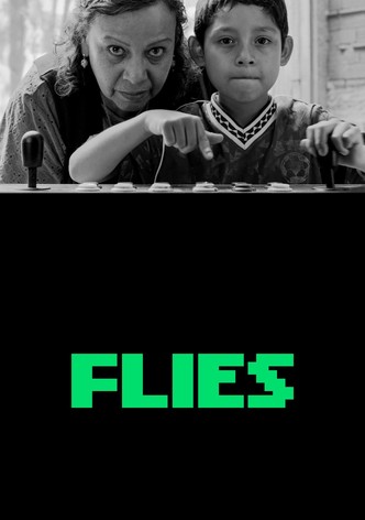 Flies poster