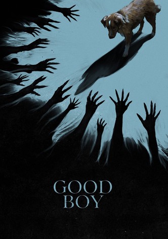 Good Boy poster