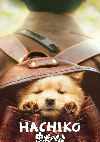 Hachiko poster