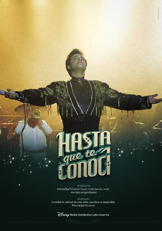 Hasta Que Te Conocí poster