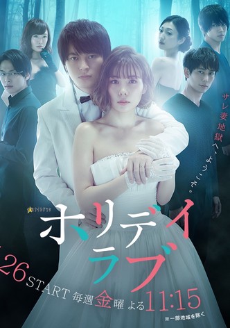 Holiday Love poster