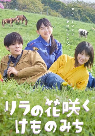 In Lilac Bloom, The Path to a Veterinarian poster