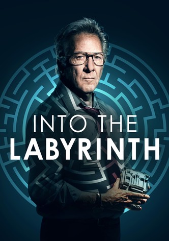 Into the Labyrinth poster