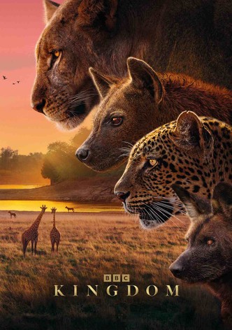Kingdom poster