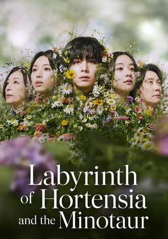 Labyrinth of Hortensia and the Minotaur poster