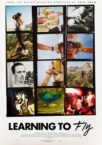 Learning to Fly poster