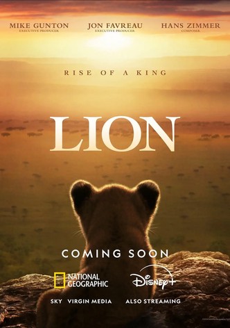 Lion poster