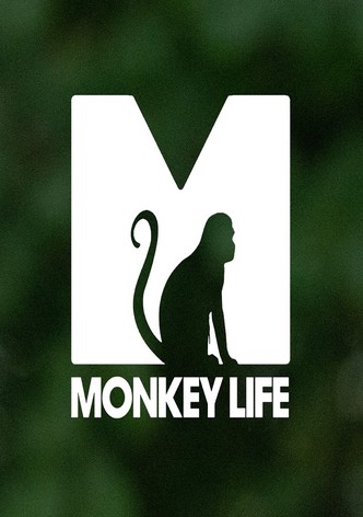 Monkey Life poster