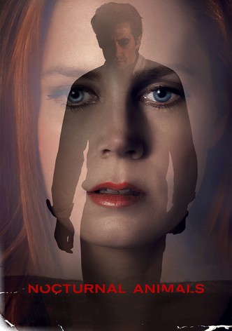 Nocturnal Animals poster