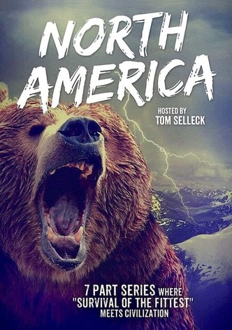 North America poster