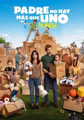 Padre no hay más que uno, la serie poster