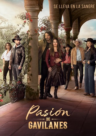 Pasión de Gavilanes poster