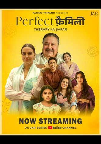 Perfect Family poster