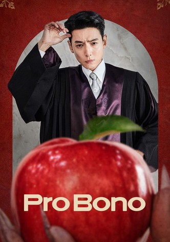 Pro Bono poster