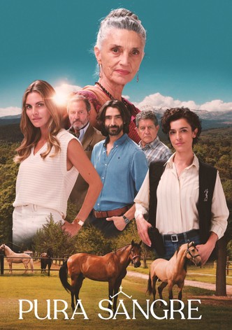 Pura sangre poster