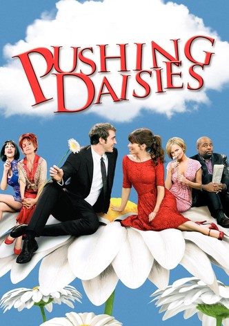 Pushing Daisies poster