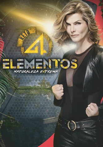 Reto 4 Elementos poster