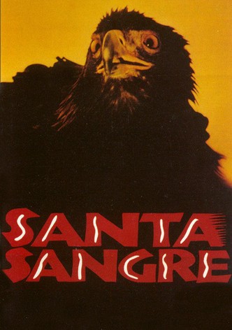 Santa Sangre poster