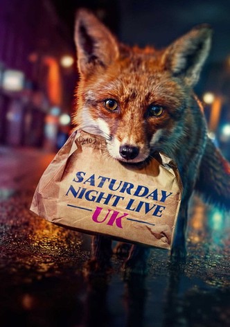 Saturday Night Live UK poster