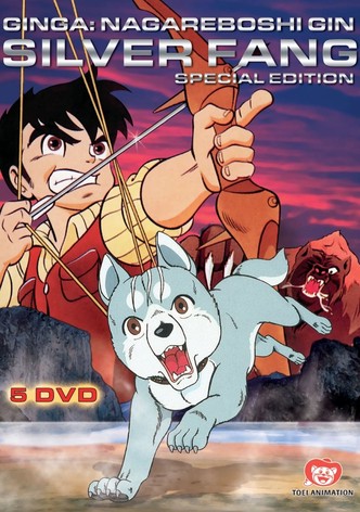 Silver Fang: The Shooting Star Gin poster