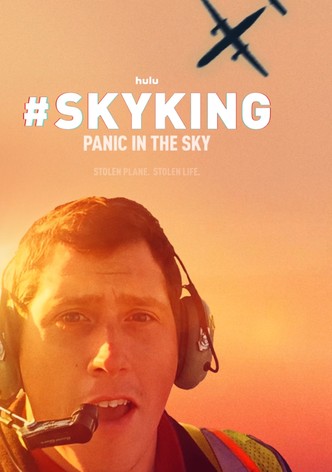 #Skyking poster