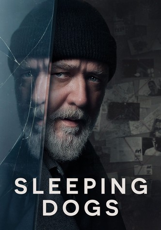 Sleeping Dogs poster