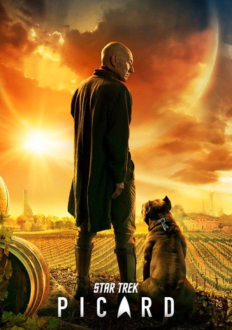 Star Trek: Picard poster