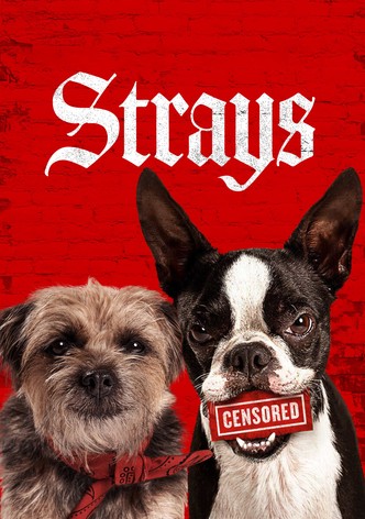 Strays poster