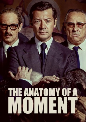 The Anatomy of a Moment poster
