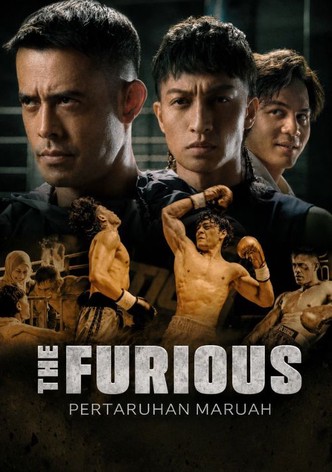 The Furious poster