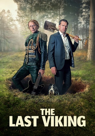 The Last Viking poster