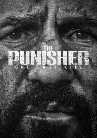 The Punisher: One Last Kill poster