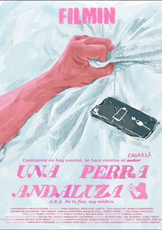 Una perra andaluza poster