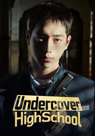 Undercover High School poster