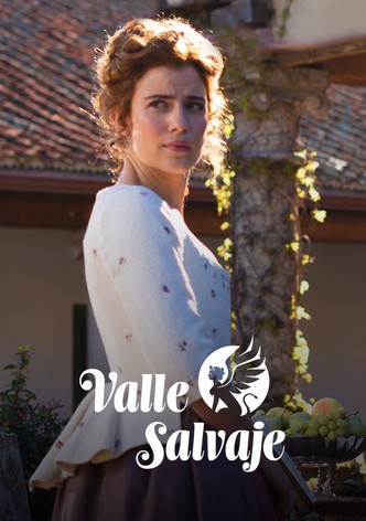 Valle Salvaje poster